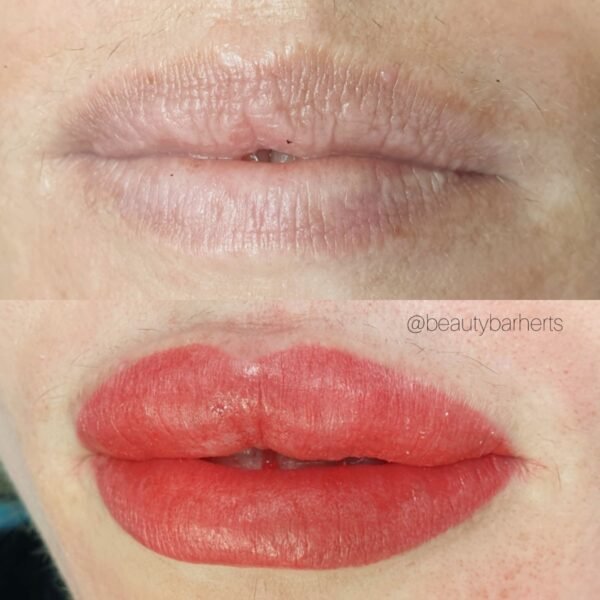 lip liner permanent blush