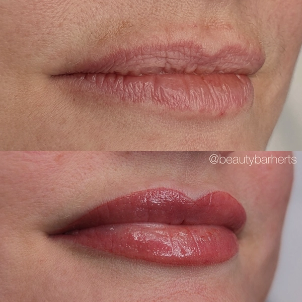 best permanent lip blush hatfield