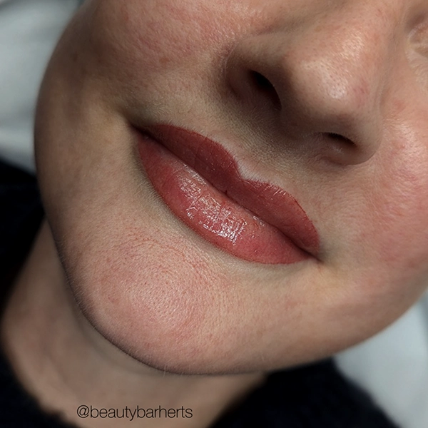 best semi permanent lip blush goffs oak
